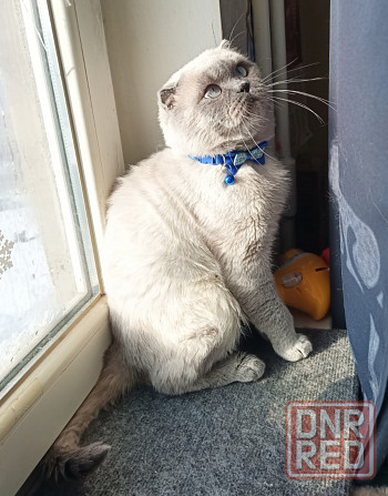 Вязка!!!! Донецк - изображение 2