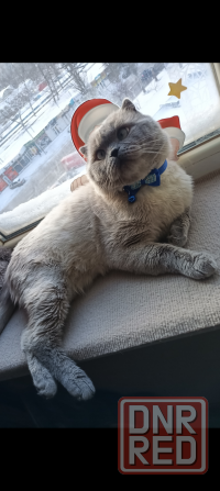 Вязка!!!! Донецк - изображение 1