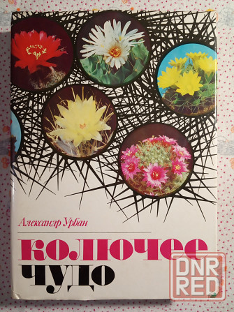 Колючее чудо Донецк - изображение 1