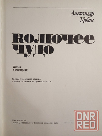 Колючее чудо Донецк - изображение 2