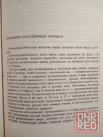 Колючее чудо Донецк - изображение 5