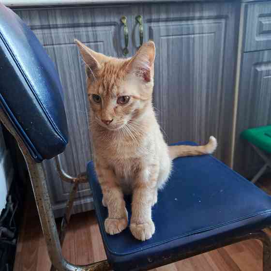 Продам Донецк