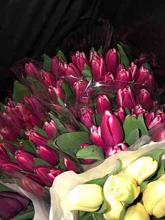 Тюльпаны к 8 Марта (Днр) оптом и в розницу Макеевка
