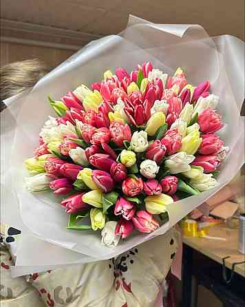 Тюльпаны к 8 Марта (Днр) оптом и в розницу Макеевка