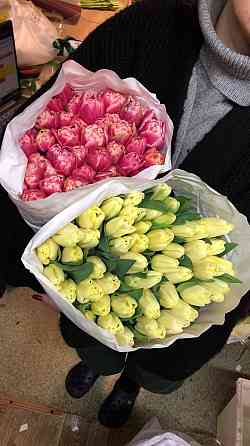 Тюльпаны к 8 Марта (Днр) оптом и в розницу Макеевка