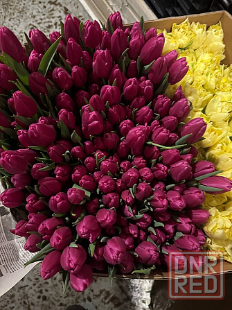 Тюльпаны к 8 Марта (Днр) оптом и в розницу Макеевка - изображение 8