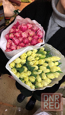 Тюльпаны к 8 Марта (Днр) оптом и в розницу Макеевка - изображение 6