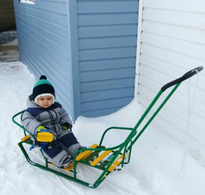 Санки для двойни Nika Сиреневые и Зеленые Донецк