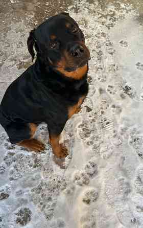 На сводку уже развязанный Луганск