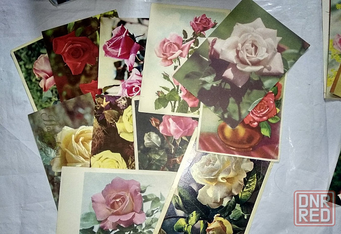 Открытки розы ссср Донецк - изображение 4
