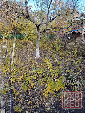 Дачный дом Донецк - изображение 6