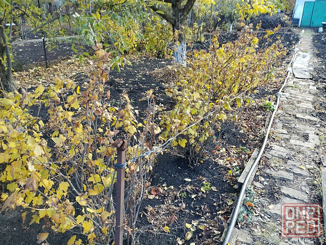 Дачный дом Донецк - изображение 9