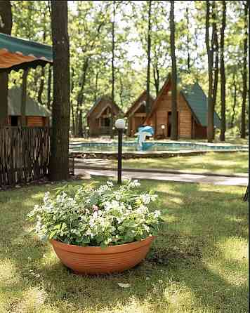 Продам кафе Макеевка