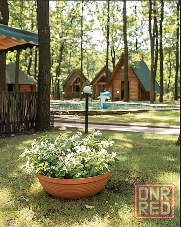 Продам кафе Макеевка - изображение 2