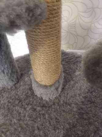 Домик для кошки, когтеточка Донецк