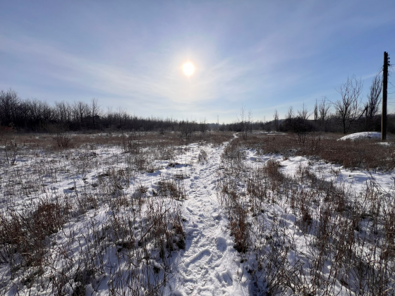 Продажа большого земельного участка г. Макеевка, пересечение улиц Карла Либкнехта и Парковой (31-я л Макеевка
