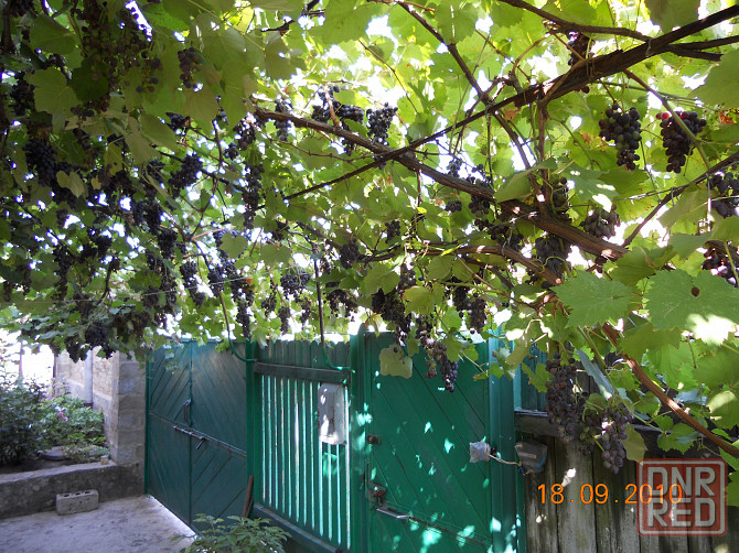 Сдается дом Амвросиевка - изображение 2