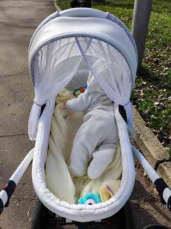 Коляска 2 в 1 Adamex Galactic Донецк