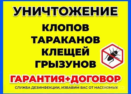 Травля Тараканов Донецк