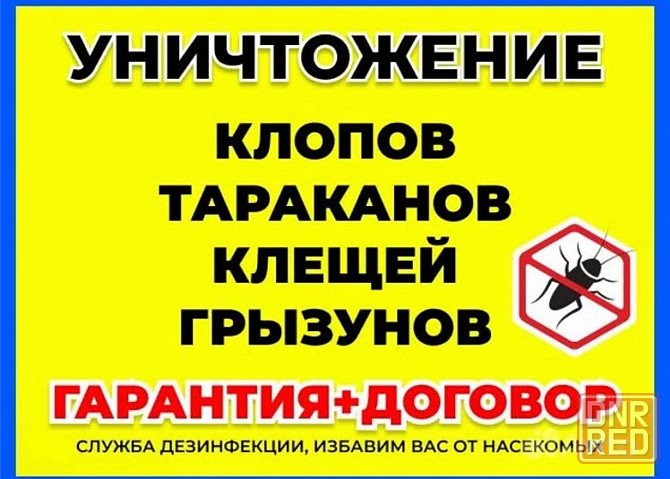 Травля Тараканов Донецк - изображение 1