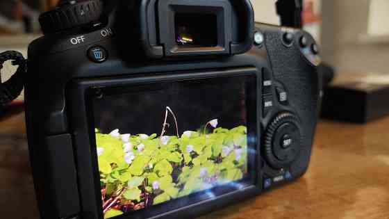 Фотоаппарат eos 60 d canon Макеевка