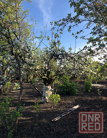 Продам дом Макеевка - изображение 5