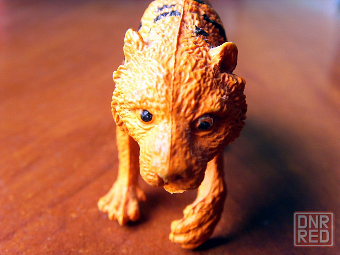 Два тигра Донецк - изображение 6