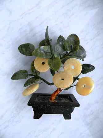 Денежное дерево Макеевка