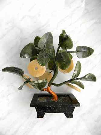 Денежное дерево Макеевка