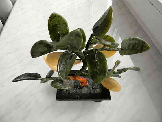 Денежное дерево Макеевка