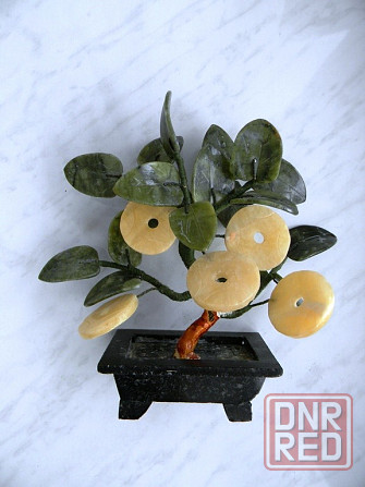 Денежное дерево Макеевка - изображение 2