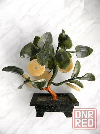 Денежное дерево Макеевка - изображение 1