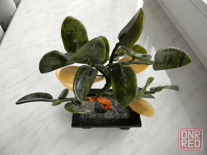 Денежное дерево Макеевка - изображение 3