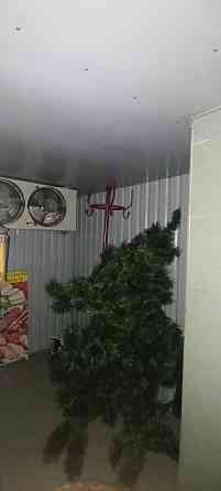 Сдам в аренду магазин с морозильной камерой! Парковка. Склад. Рампа. Донецк