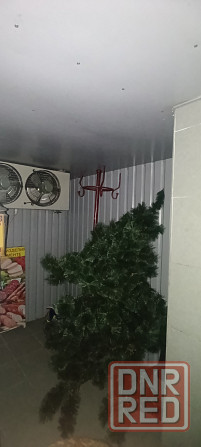 Сдам в аренду магазин с морозильной камерой! Парковка. Склад. Рампа. Донецк - изображение 5