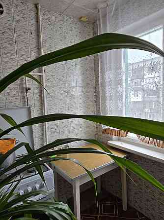 Продам 1- комнатную квартиру, Даки, кв-л Гвардейский. Макеевка