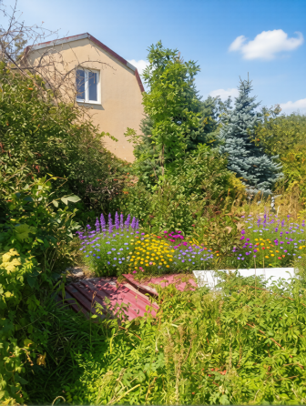 Продам дачу с двумя смежными земельными участками Донецк