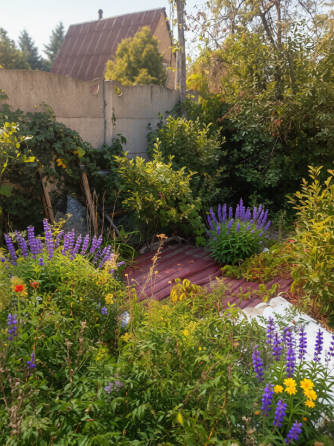 Продам дачу с двумя смежными земельными участками Донецк