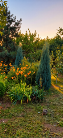 Продам дачу с двумя смежными земельными участками Донецк