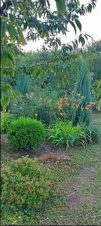 Продам дачу с двумя смежными земельными участками Донецк