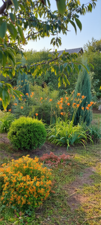 Продам дачу с двумя смежными земельными участками Донецк