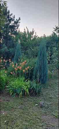 Продам дачу с двумя смежными земельными участками Донецк