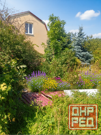 Продам дачу с двумя смежными земельными участками Донецк - изображение 4