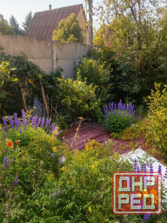 Продам дачу с двумя смежными земельными участками Донецк - изображение 5