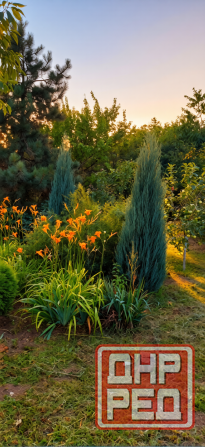 Продам дачу с двумя смежными земельными участками Донецк - изображение 1