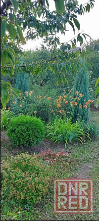 Продам дачу с двумя смежными земельными участками Донецк - изображение 1