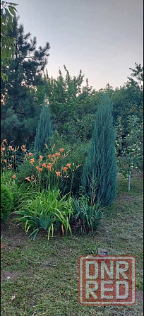 Продам дачу с двумя смежными земельными участками Донецк - изображение 2