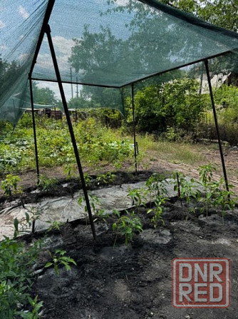 Продаю 4-х комнатный дом в Пролетарском районе, ул. Румянцева Донецк - изображение 3