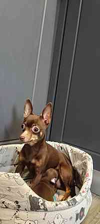 Продам Донецк