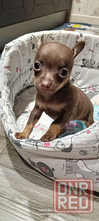 Продам Донецк - изображение 1